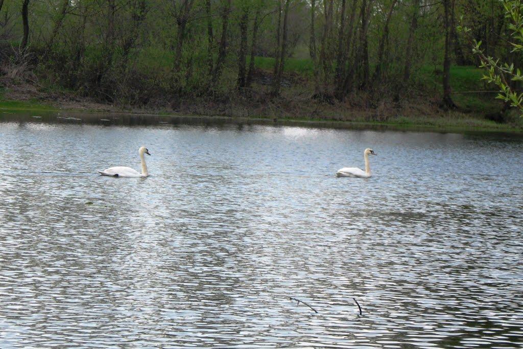 Білопілля з panoramio.com - Белополье