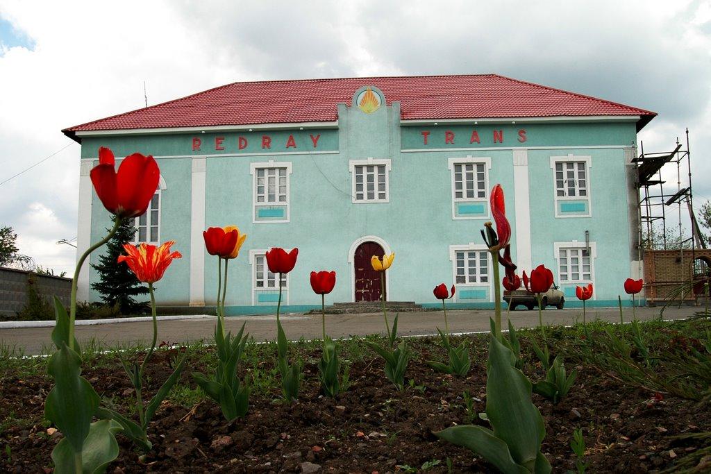 Красний Луч з panoramio.com (ч.2) - Красный Луч
