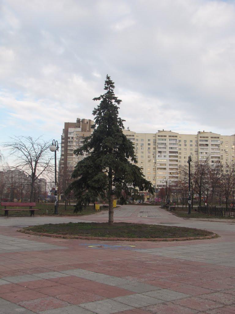 Гнідин з panoramio.com (ч.3) - Gnidyn