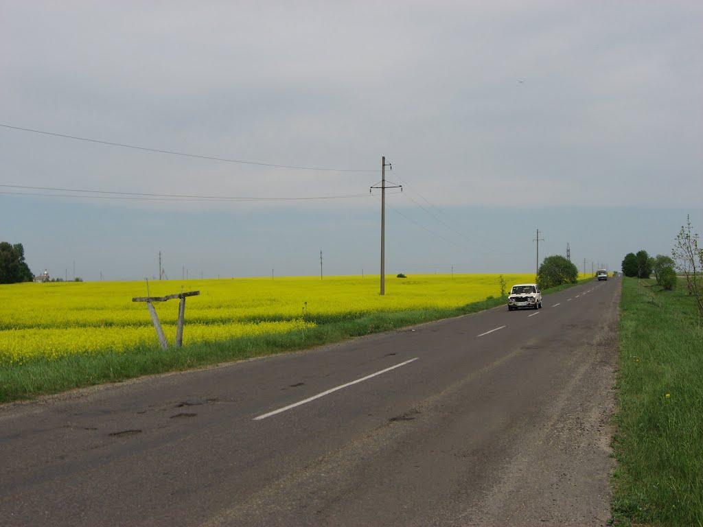 Заводське з panoramio.com - Заводське