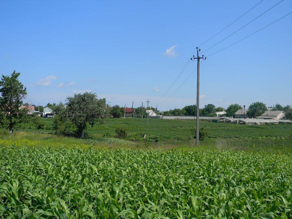 Білозір'я з panoramio.com - Білозір'я