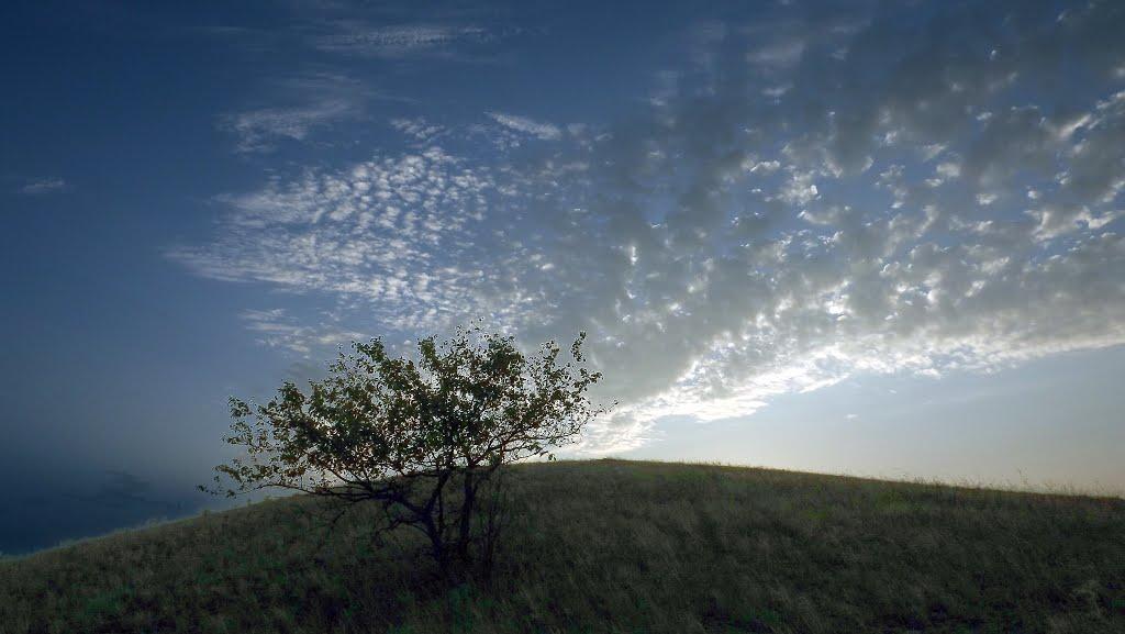 Артемівка з panoramio.com - Артемовка