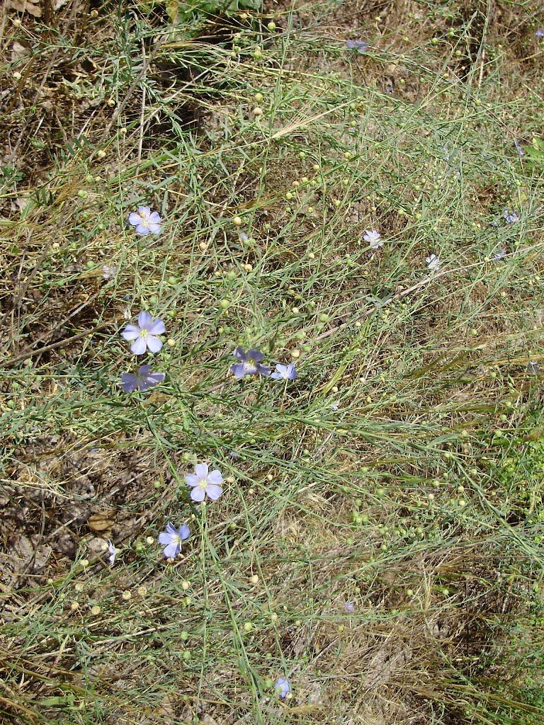 Раденськ з panoramio.com - Раденськ