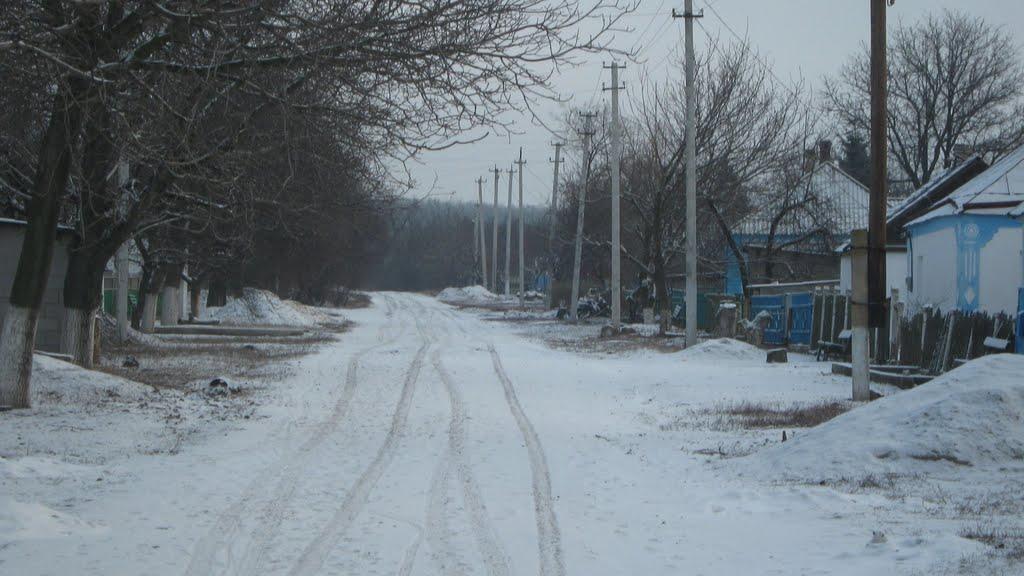 Свободне з panoramio.com - Свободне