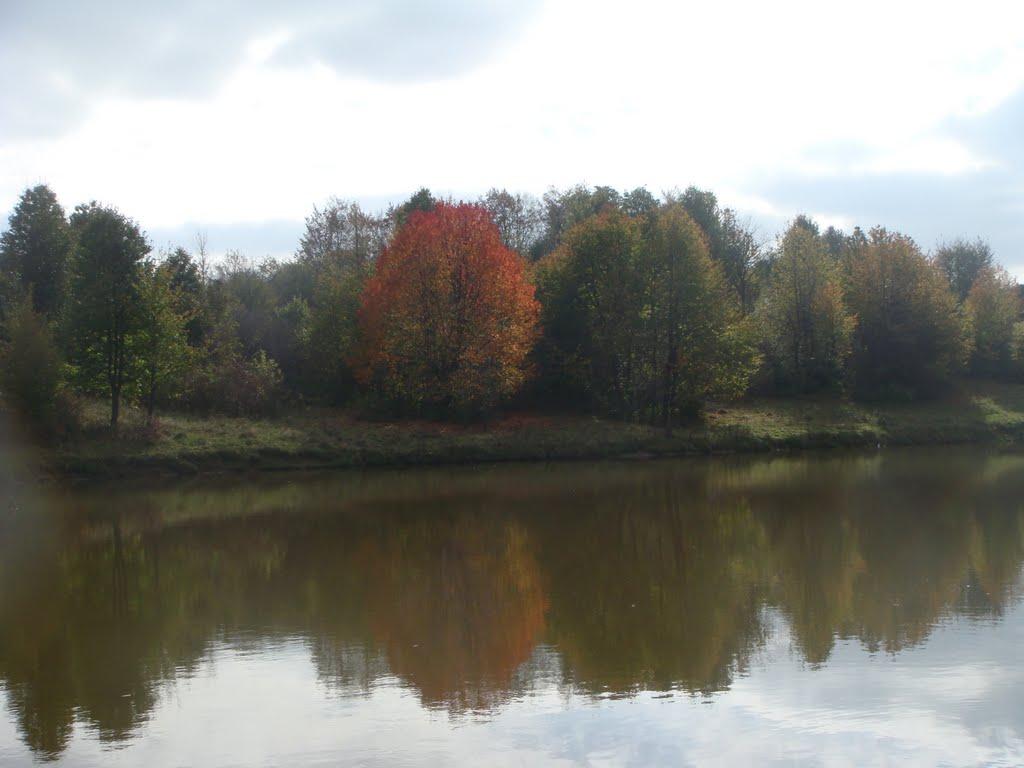 Щучинці з panoramio.com - Щучинці