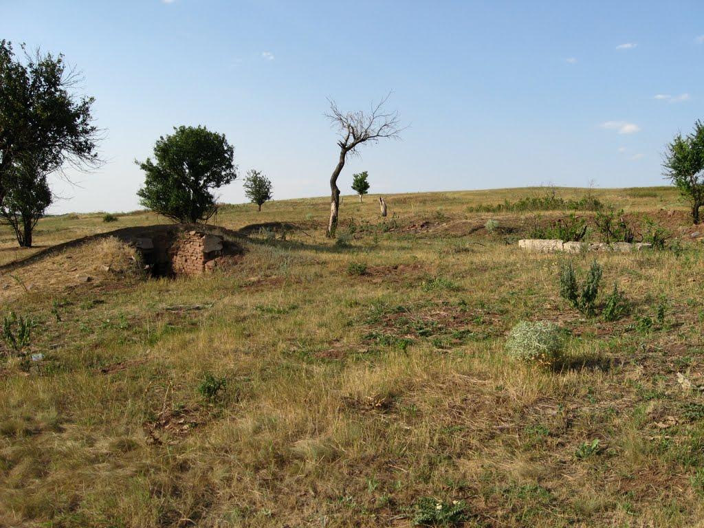 Лозове з panoramio.com - Лозовое