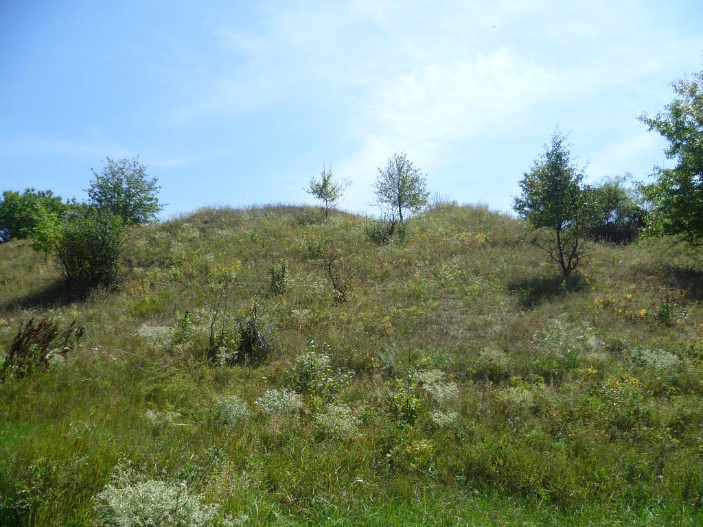 Устивиця з panoramio.com - Устивица