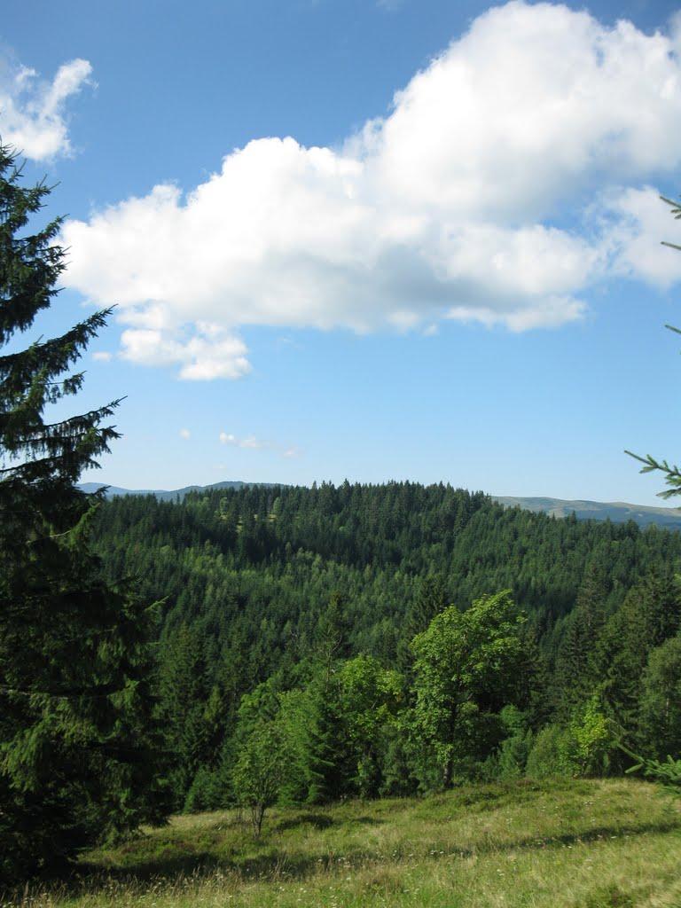 Сенечів з panoramio.com - Сенечів