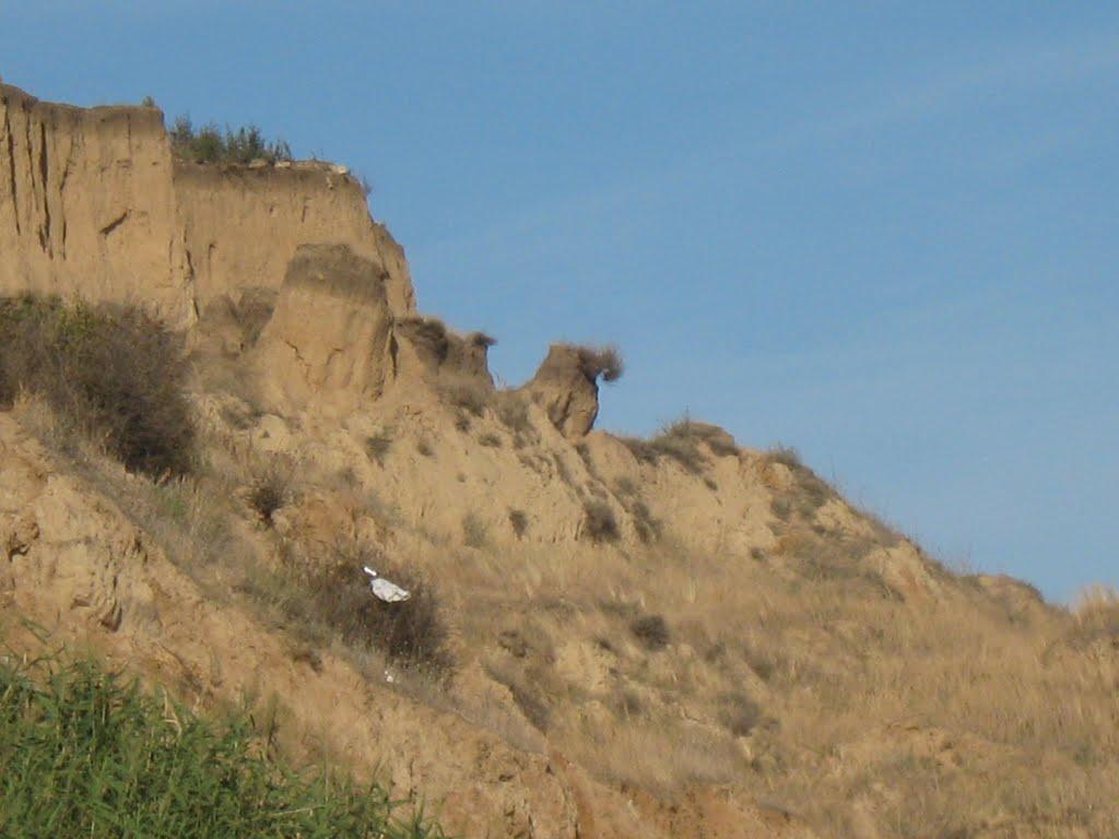 Южне з panoramio.com - Южное