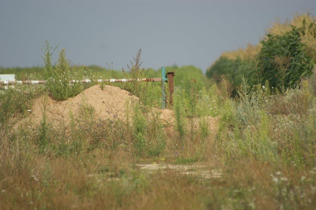 Тальківка з panoramio.com - Тальковка