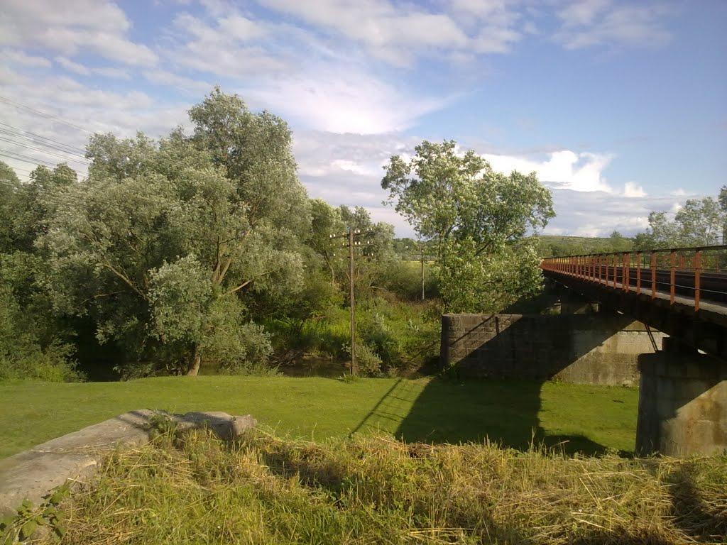 Нижанковичі з panoramio.com (ч.2) - Nyzhankovychi