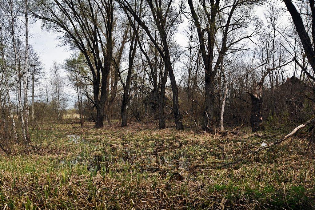 Черемошна з panoramio.com - Черемошна