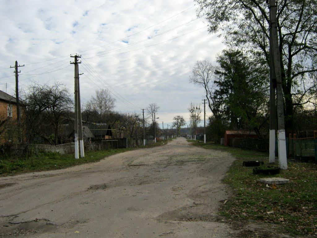 Кияниця з panoramio.com - Кияниця
