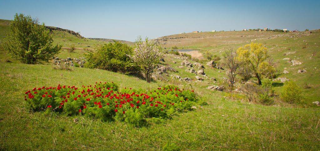 Живописне з panoramio.com - Zhyvopysne