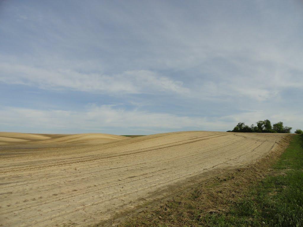 Буяни з panoramio.com - Буяни