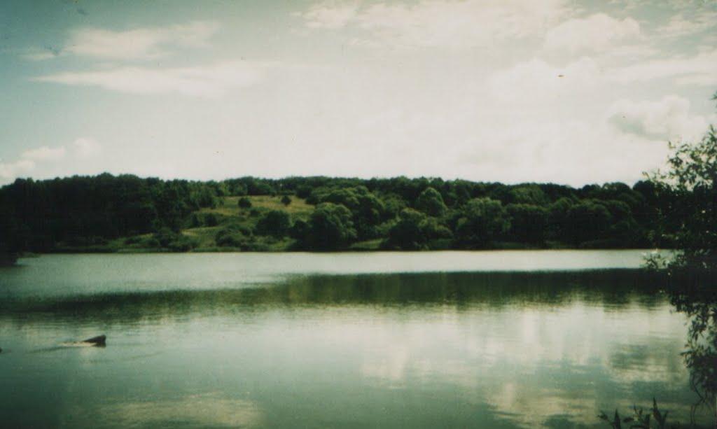 Рублене з panoramio.com - Рублене