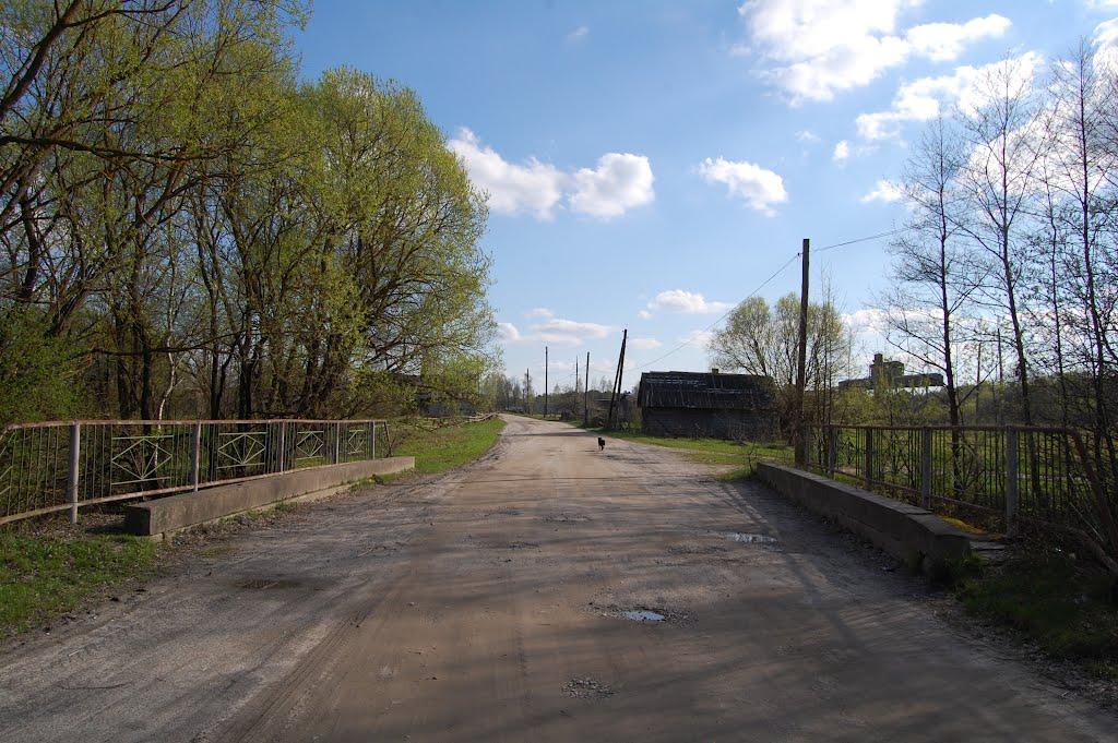 Рудня-Новенька з panoramio.com - Рудня-Новенькая