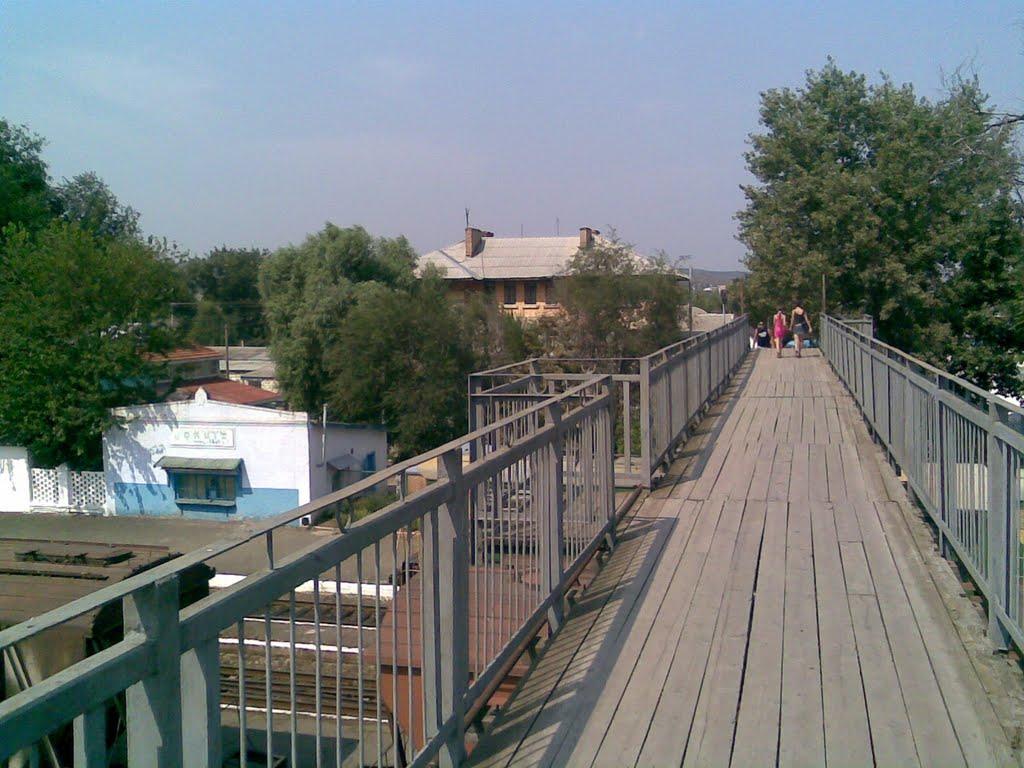 Серпневе з panoramio.com - Серпневе