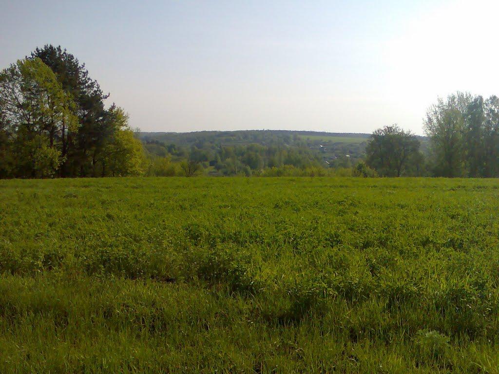 Воргол з panoramio.com - Воргол