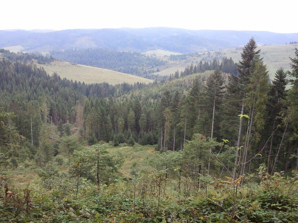 Розлуч з panoramio.com - Розлуч