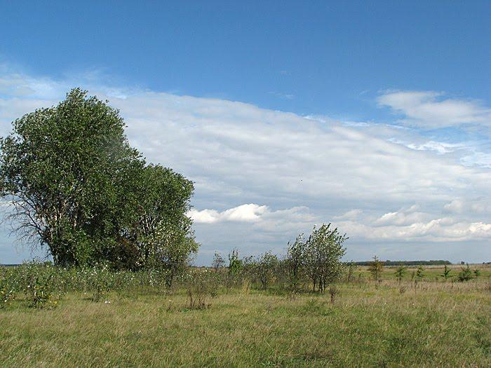 Старий Мохнач з panoramio.com - Старий Мохнач