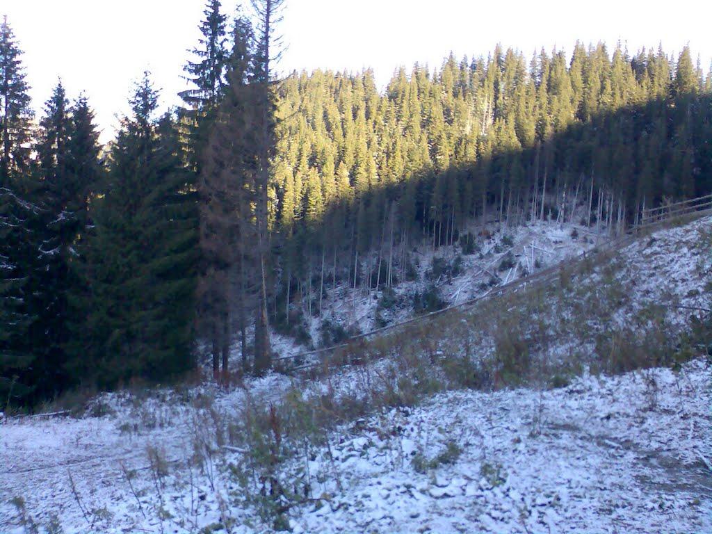 Поляківське з panoramio.com - Поляківське