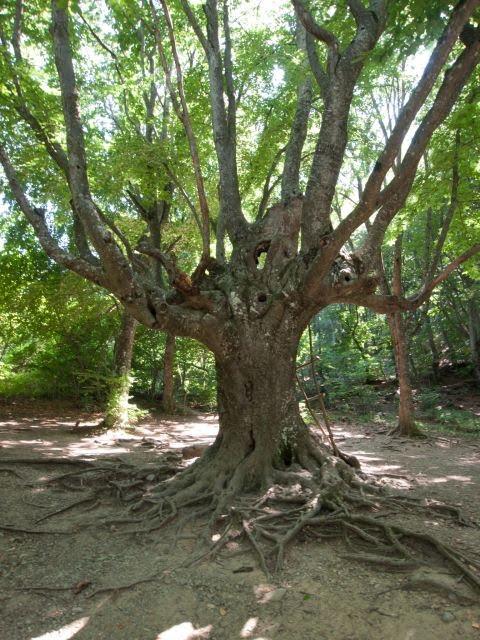 Генеральське з panoramio.com (ч.3) - Генеральське