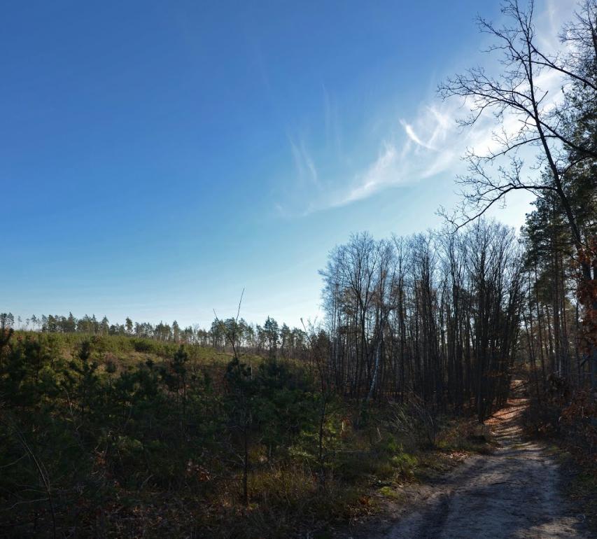 Горенка з panoramio.com - Горенка