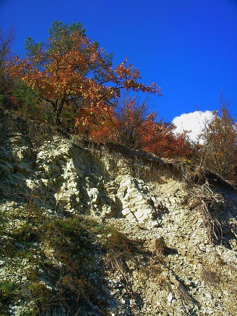 Куйбишеве з panoramio.com (ч.2) - Куйбышево