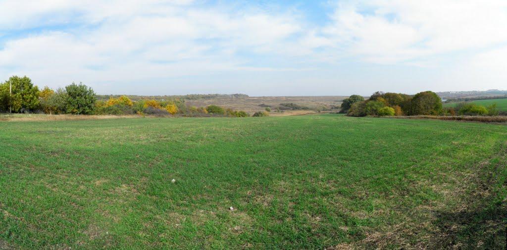 Кринична з panoramio.com - Кринична