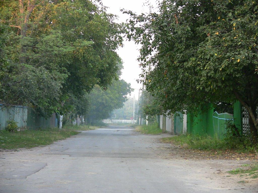 Кривець з panoramio.com - Kryvets