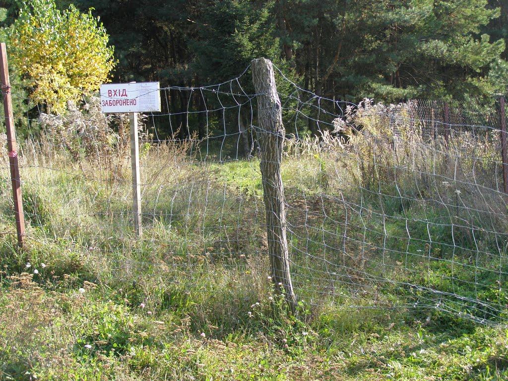 Лище з panoramio.com - Лище