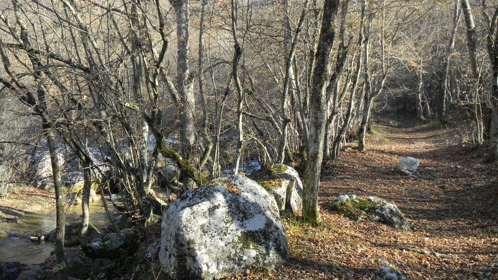 Соколине з panoramio.com (ч.2) - Соколиное