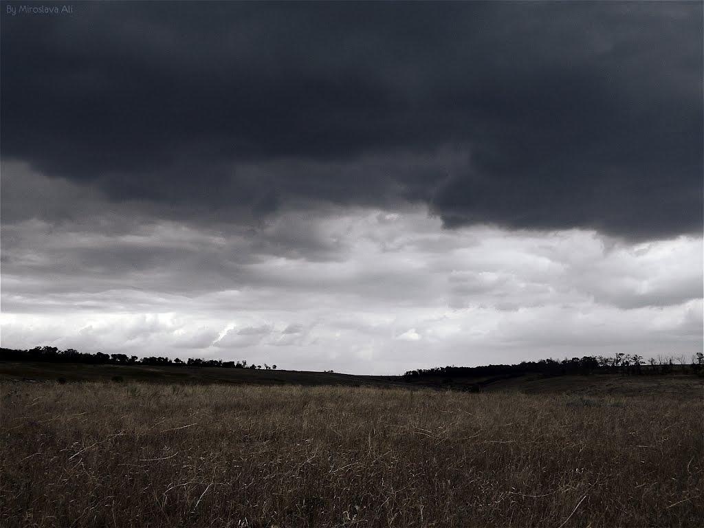 Приморське з panoramio.com - Приморське