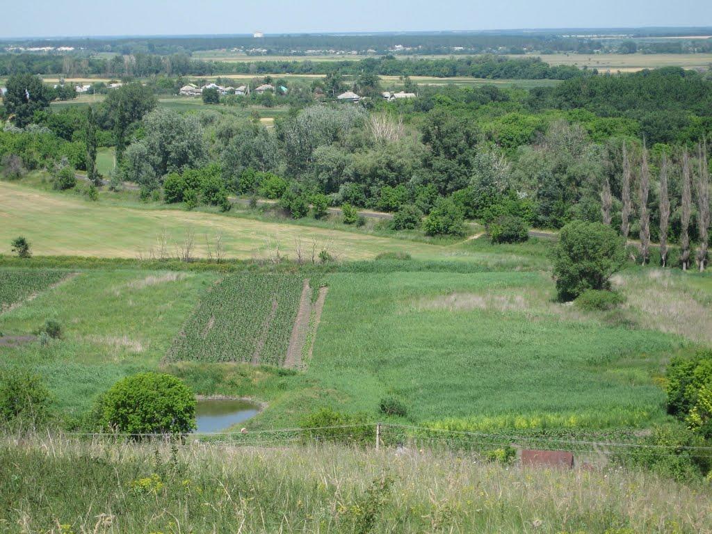 Хворостянівка з panoramio.com - Хворостяновка