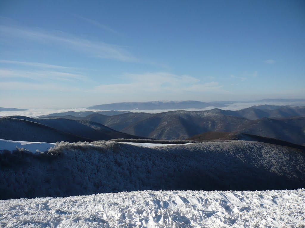 Воловець з panoramio.com - Volovets