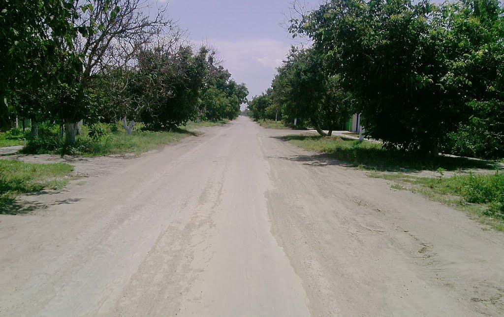 Роздольне з panoramio.com - Роздольне