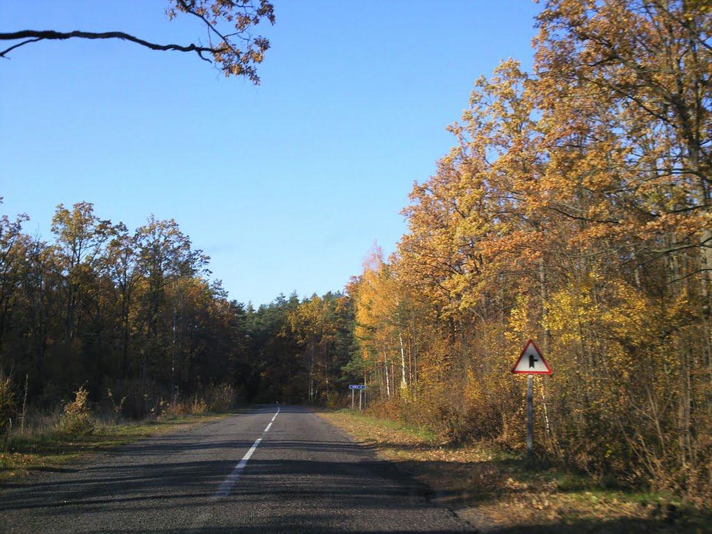 Каменка з panoramio.com - Каменка