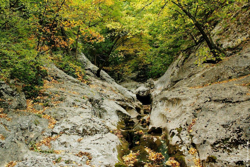 Соколине з panoramio.com (ч.2) - Соколиное