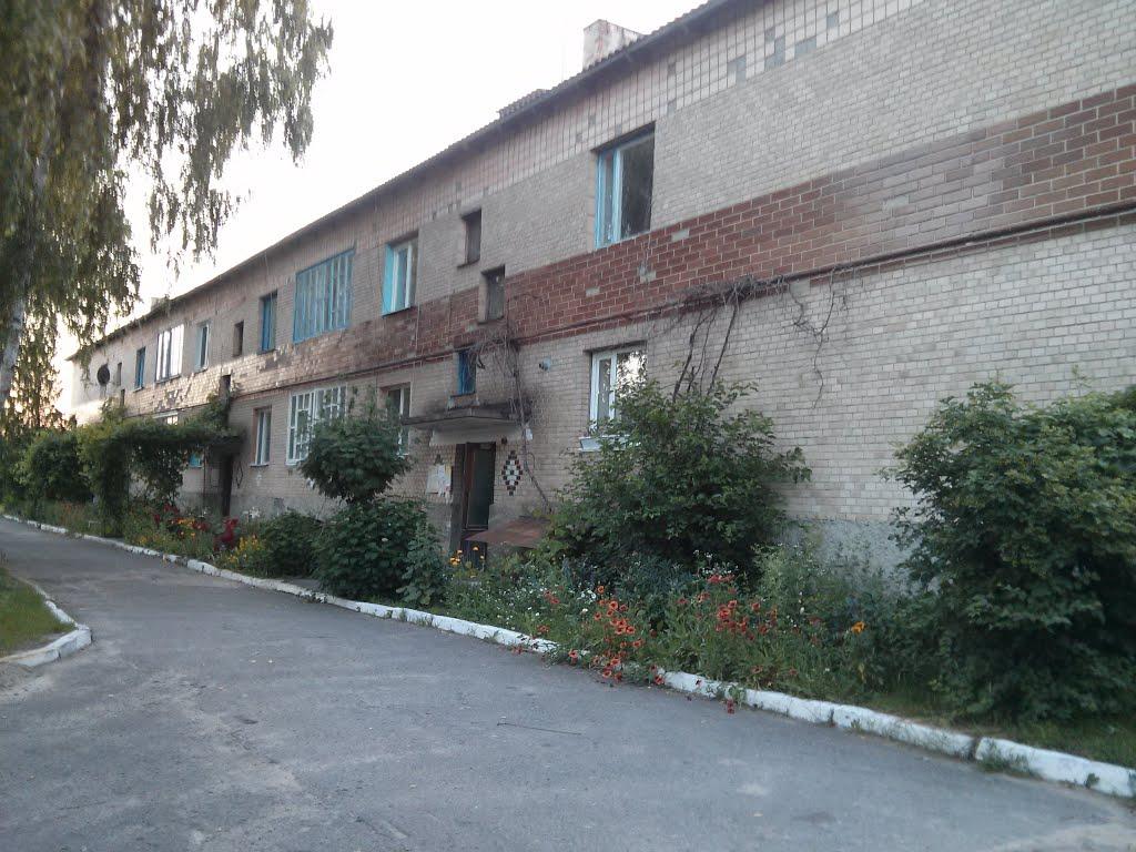 Іванків з panoramio.com - Иванков