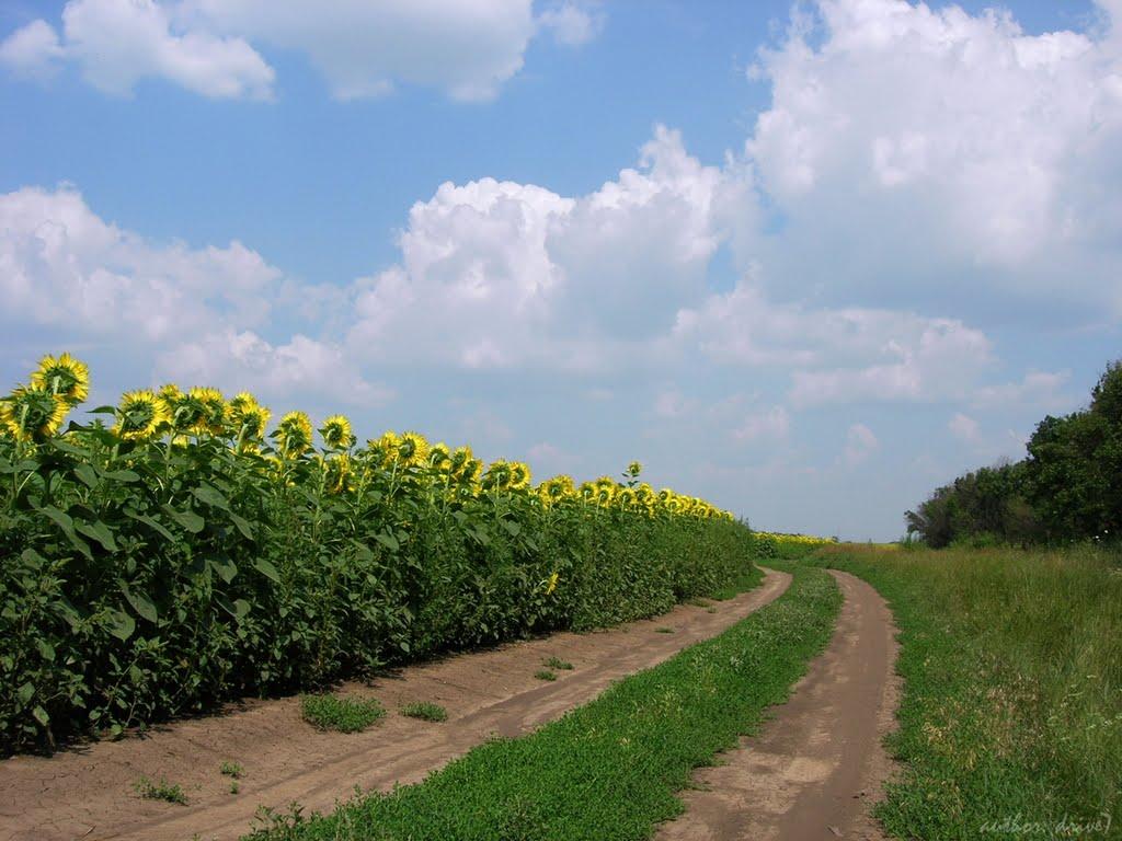 Свистунове з panoramio.com - Свистунове