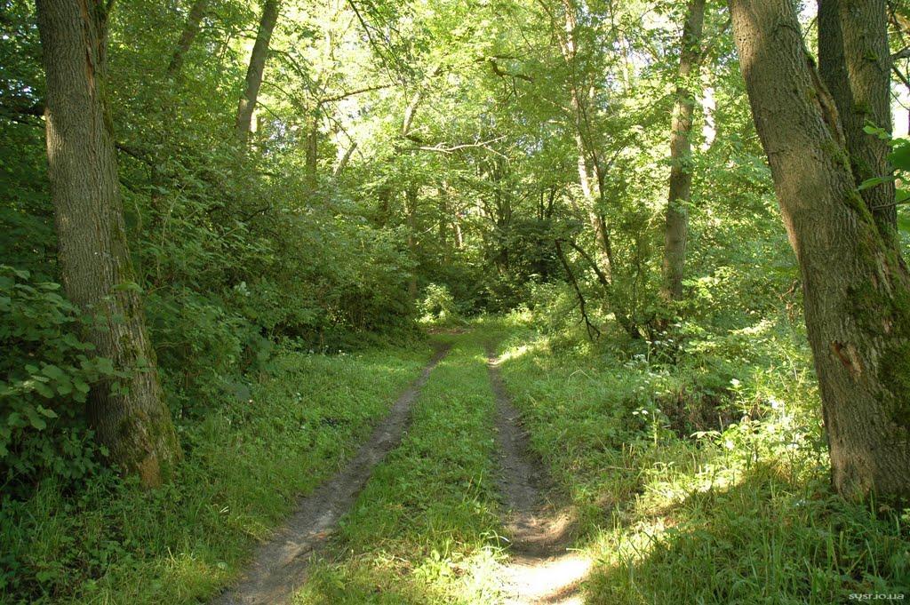 Млинів з panoramio.com - Млинов