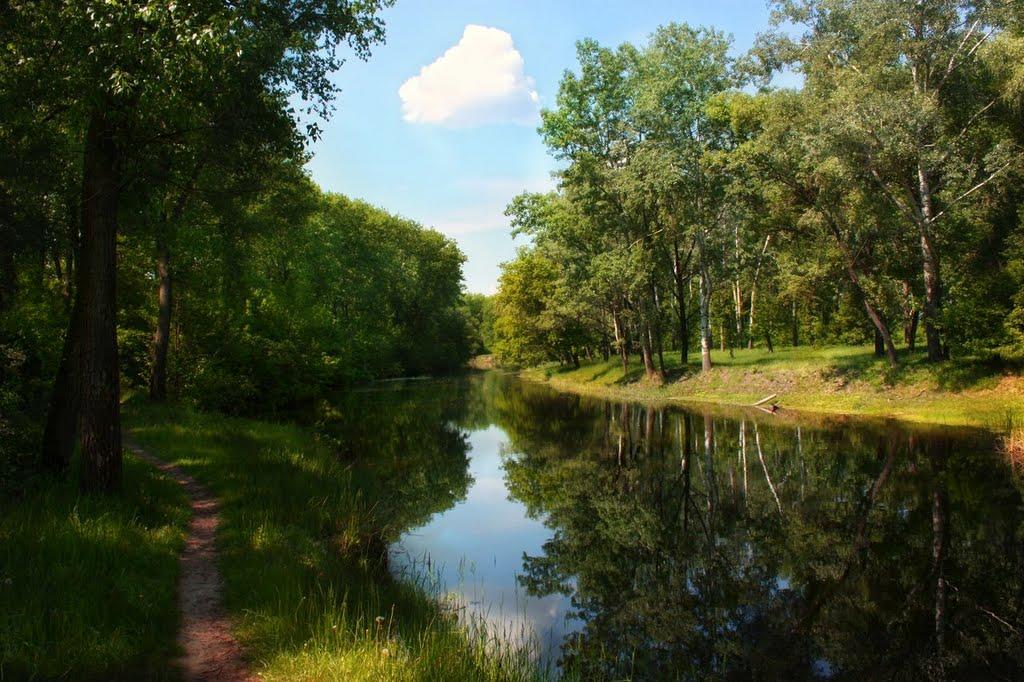 Велика Писарівка з panoramio.com - Велика Писарівка