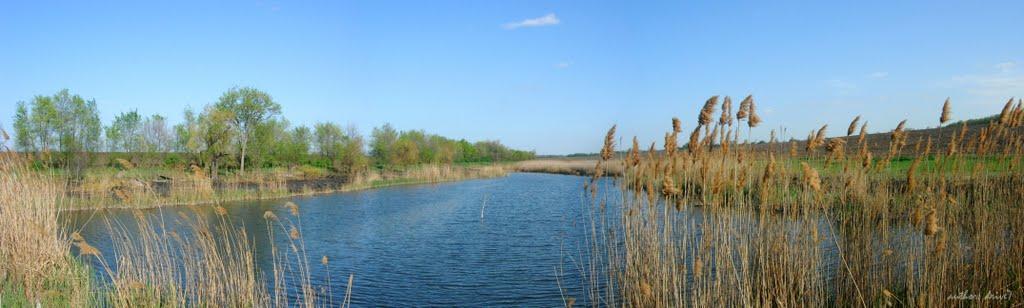 Новоселівка з panoramio.com - Новоселівка