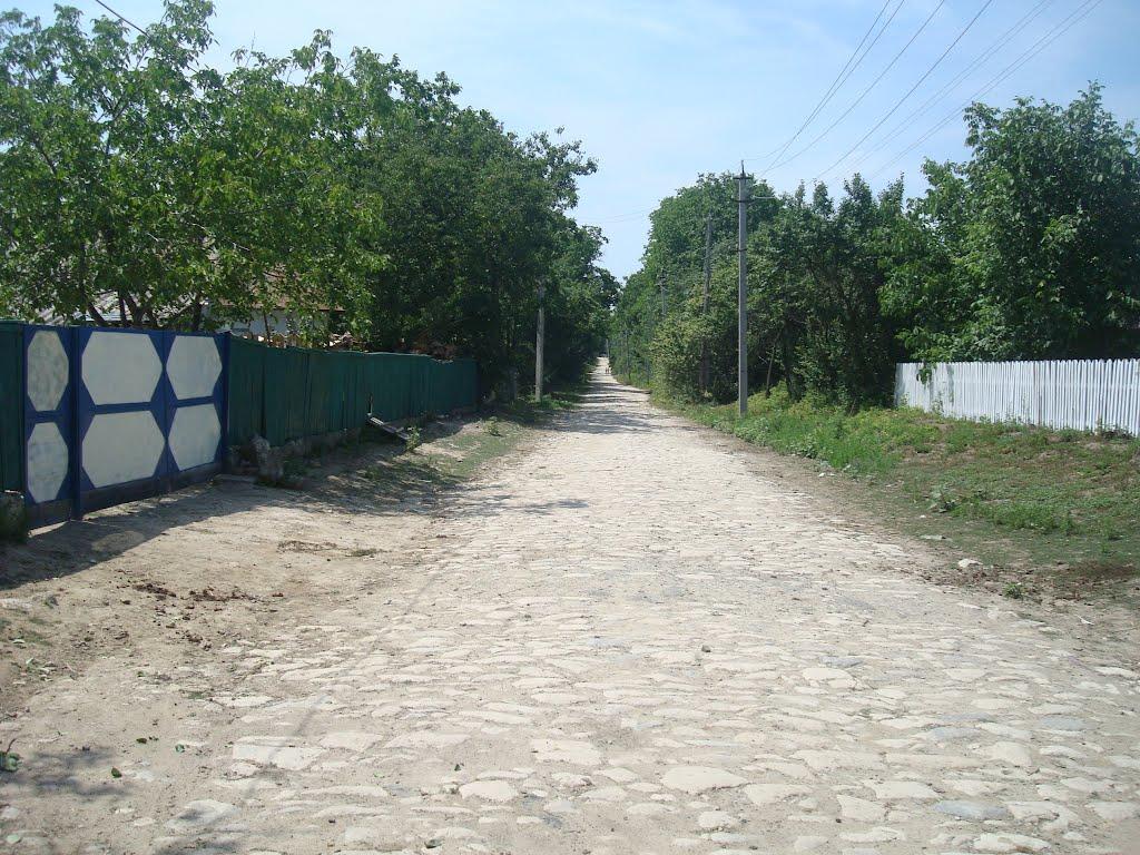 Ставчани з panoramio.com - Ставчаны