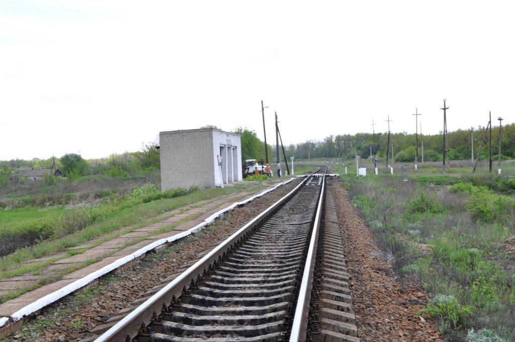 Петро-Миколаївка з panoramio.com - Петро-Миколаївка