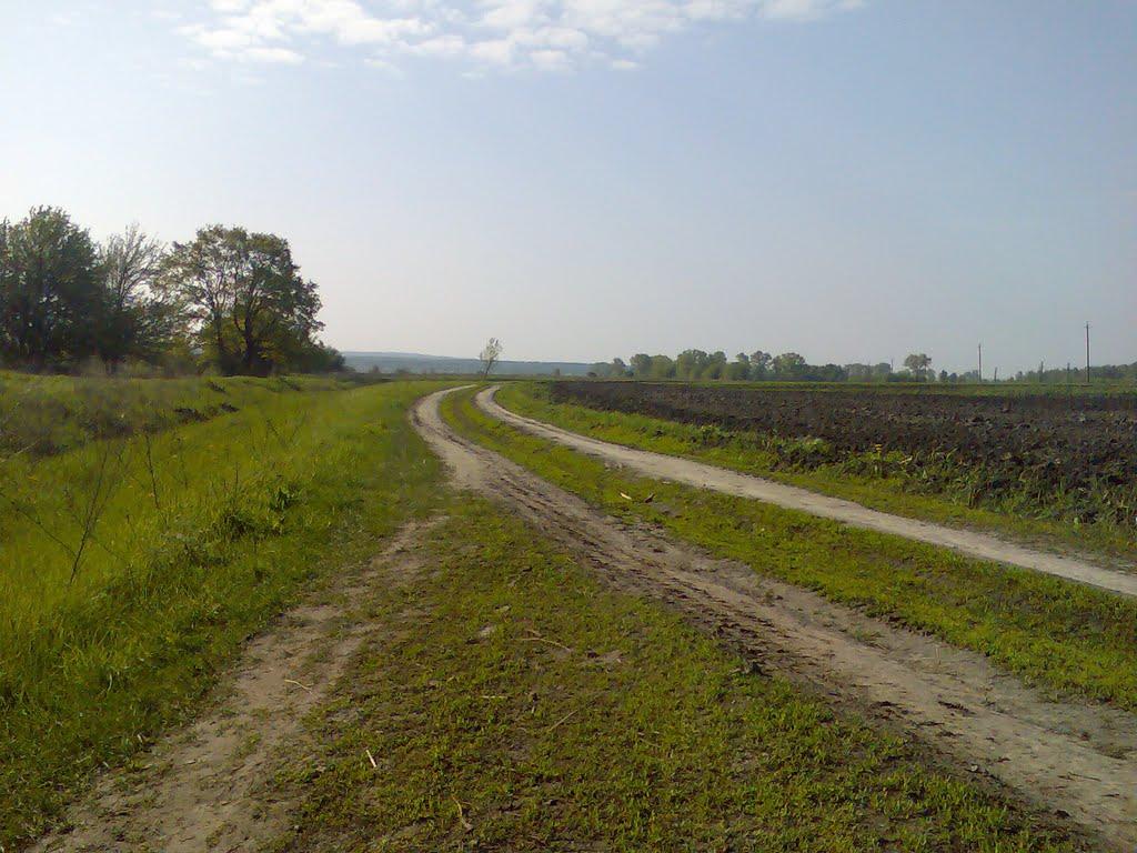 Воргол з panoramio.com - Воргол