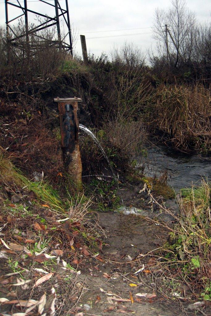 Петрівка з panoramio.com - Петрівка