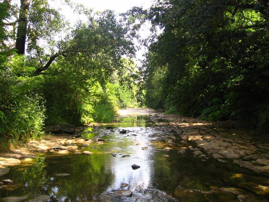 Велике Садове з panoramio.com - Большое Садовое