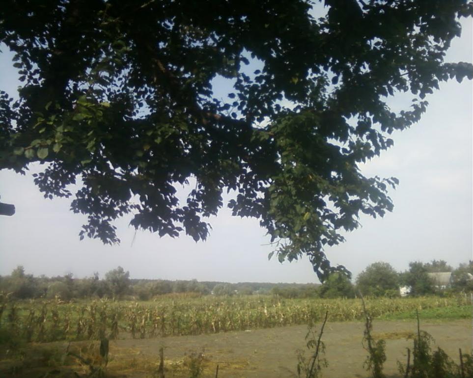 Синява з panoramio.com - Синява